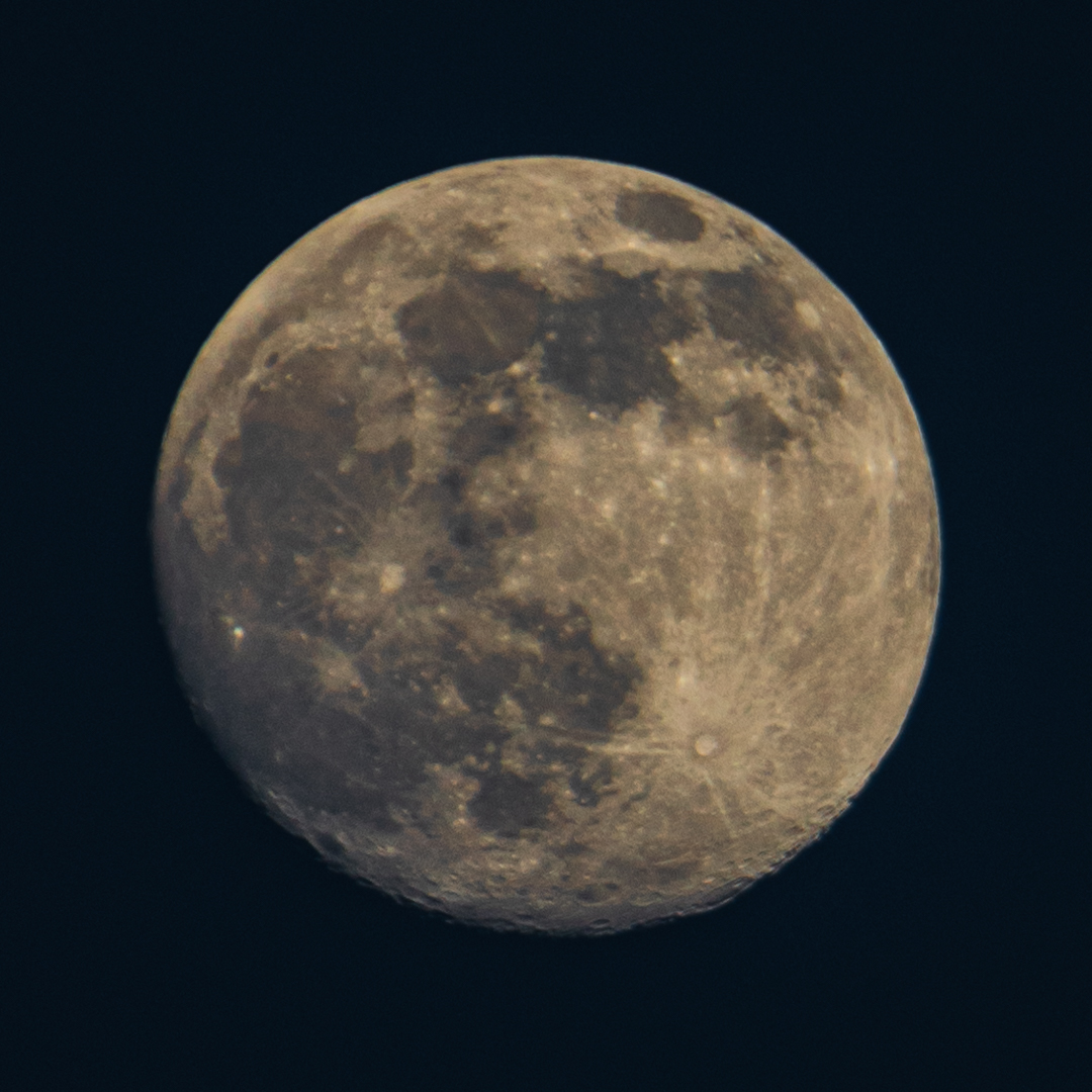 ALN09367